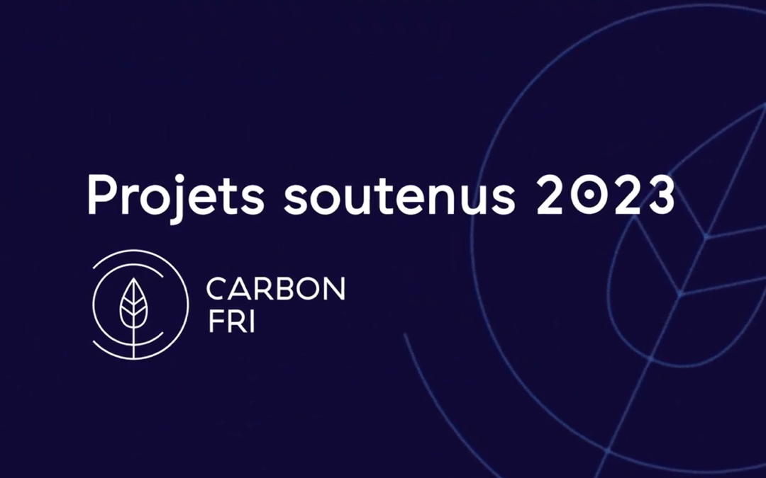 4 verschiedene Projekte mit einem gemeinsamen Ziel: die Reduzierung von CO2-Emissionen