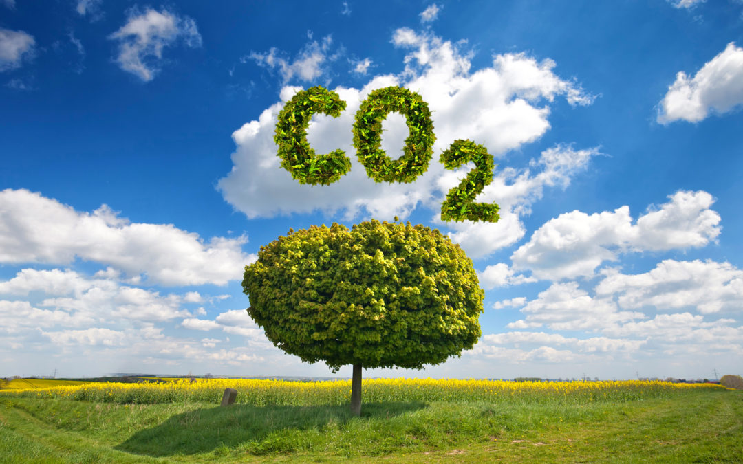 CO2-Rechner